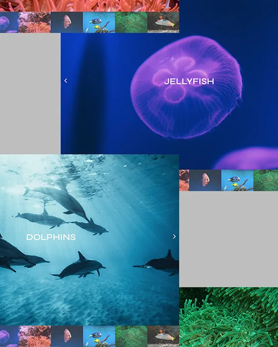 Ocean Slider thumbnail