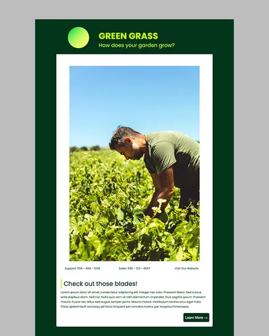 Green Grass thumbnail