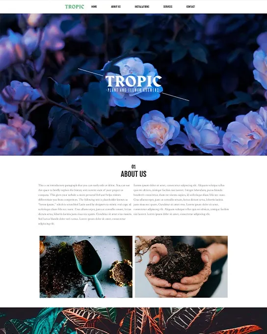 Tropic thumbnail